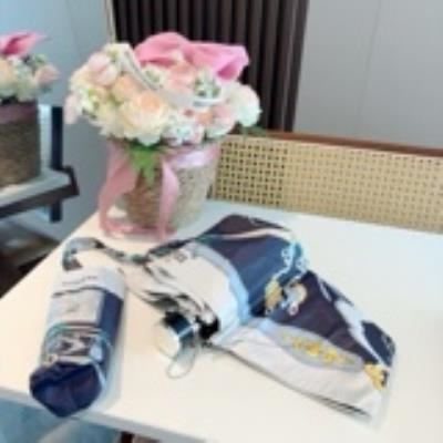 wholesale quality hermes umbrella model no. 6